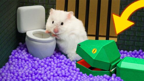仓鼠小动画：新型海洋球监狱迷宫，为什么会有一条响尾蛇呢？