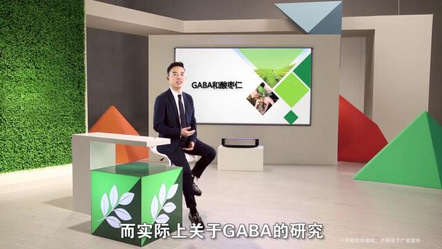 GABA与酸枣仁张旭