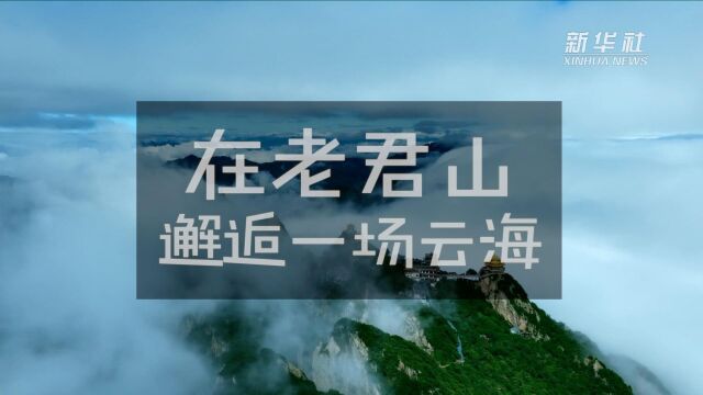 在老君山邂逅一场云海