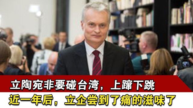 立陶宛非要碰台湾,上蹿下跳近一年后,立企尝到了痛的滋味了