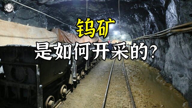 钨矿是如何开采的?200米深的矿洞里找出矿床,再引爆350公斤炸药