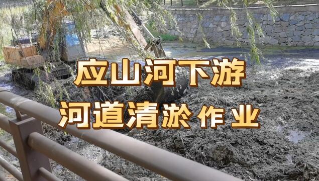 应山河下游河道清淤作业