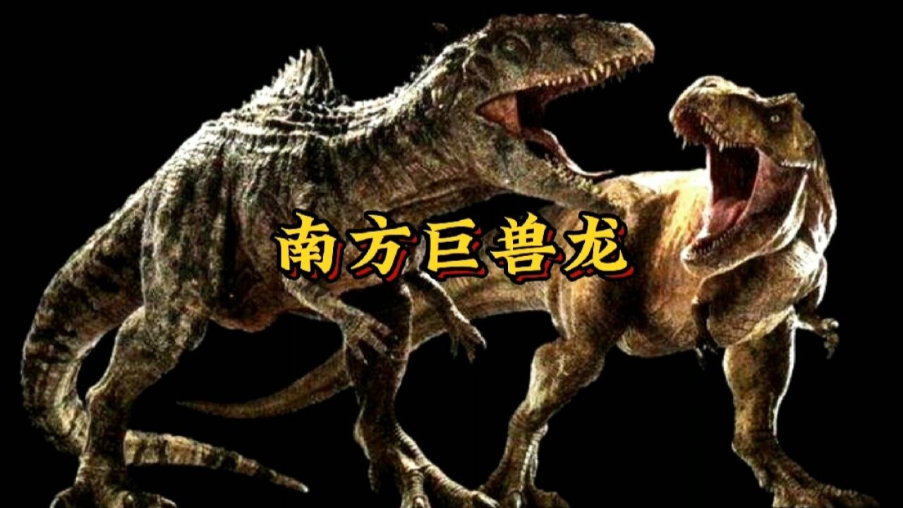 史前巨兽南方巨兽龙_高清