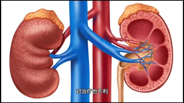 防肾衰竭别只看肌酐,有一点更关键!别等肾衰竭了才重视