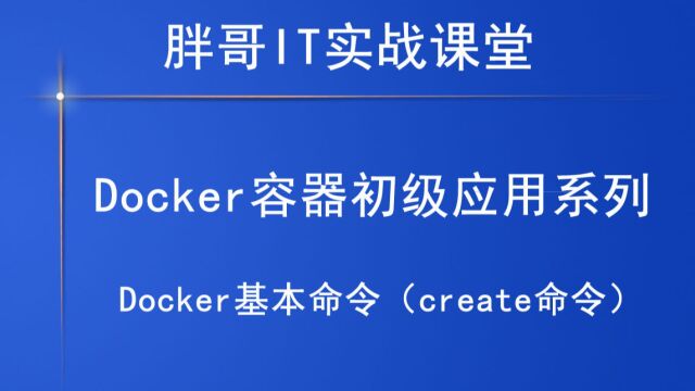 Docker基本命令(create命令)下2