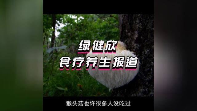 猴头菇|中国八大“山珍”,四大名菜之首