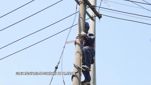 【抗旱在行动】江心洲上的抗旱保电突击队