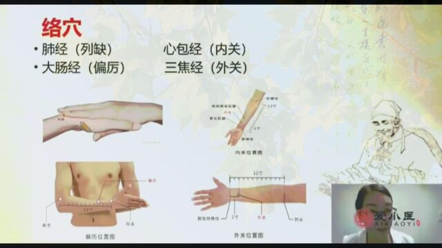 孙利群:络穴认识(第三集)