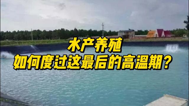 水产养殖如何度过这最后的高温期?