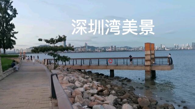 深圳湾美景,可以看到海湾对面的香港