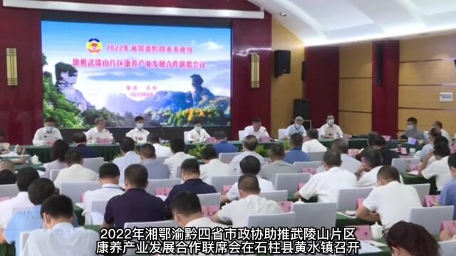 【2】中国ⷩ‡庆(石柱)第六届康养大会举行,盘点这些精彩