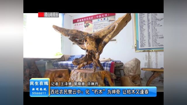 西社农民樊云中:化“朽木”为神奇 让枯木又逢春