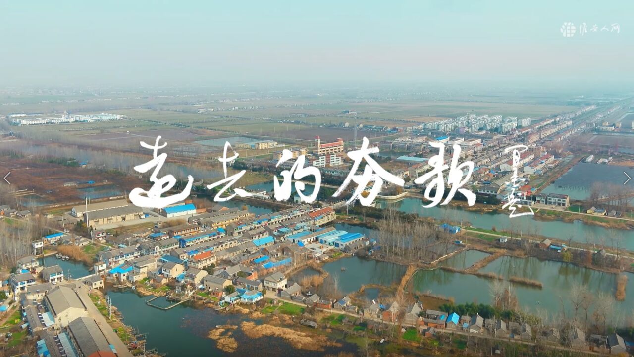 大运河口述史—远去的夯歌_高清1080P在线观看平台_腾讯视频