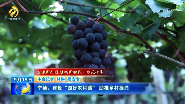 宁德:建设“四好农村路” 助推乡村振兴