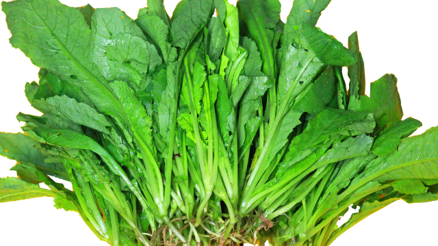 萝卜菜最近火了,好多人想吃不会做,四川特色下饭吃法,香辣脆嫩