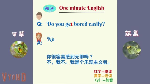 甄选日常 Q & A 一分钟英语DH 75 | 英语学习 | Learn English | 英语日常会话 | 英语口语