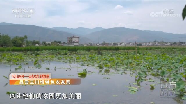 村民积极开办农家乐越来越富足,年轻人开始返乡发展