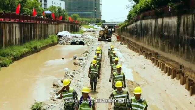 全国“人民满意的公务员”姚涛:以恒心致初心 还茅洲河潺潺清流