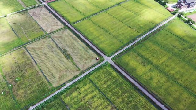 【羊城新农姐姐】资讯丨广州这处「世外桃源」,登上了《人民日报》!