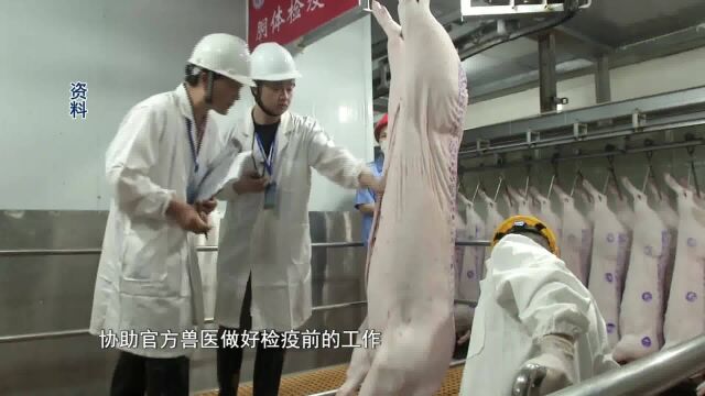 新“动检法”出台!动物检疫数字化升级筑牢食品安全防线