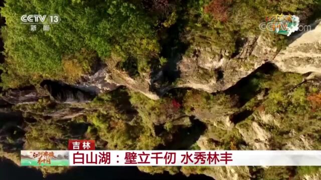 央视新闻:[江河奔腾看中国]层林尽染“五花山” 秋意正浓惹人醉——白山靖宇白山湖:壁立千仞 水秀林丰