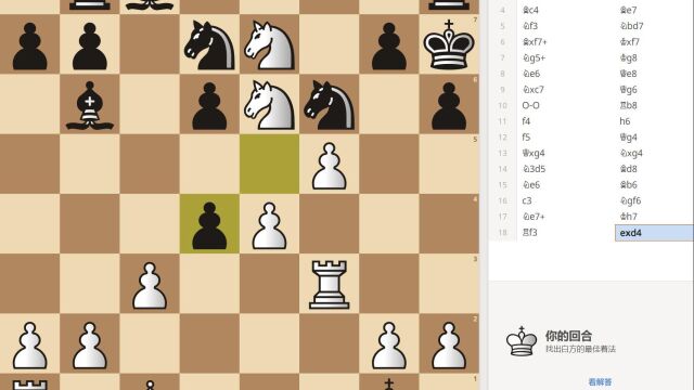 国际象棋攻王:阿纳斯塔西亚