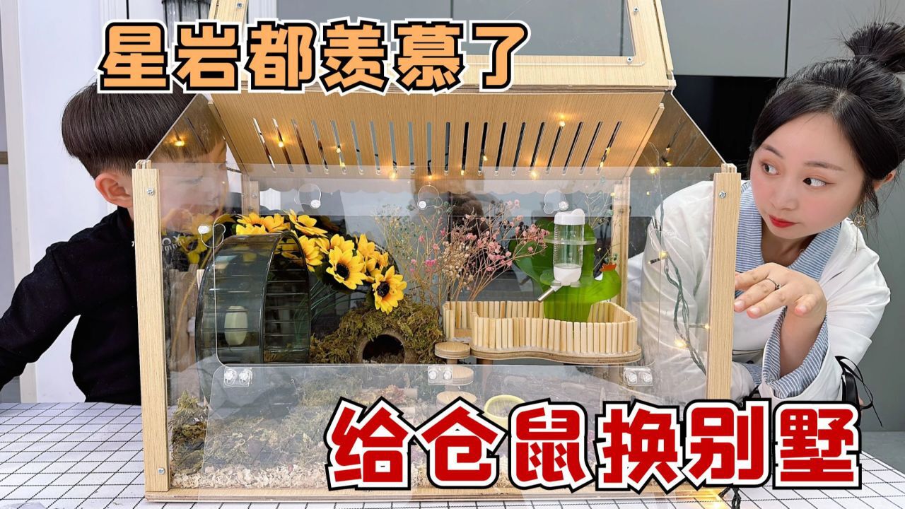 珍珍给仓鼠换了个大别墅，星岩看的好羡慕，自己都想住了！_高清