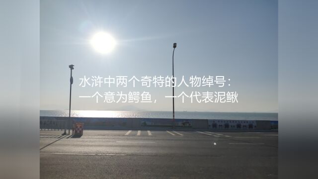 水浒中两个奇特的人物绰号:一个意为鳄鱼,一个代表泥鳅