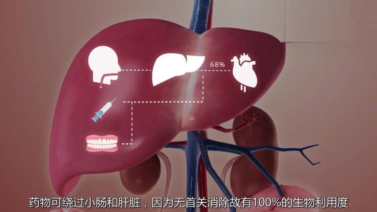 药物在人体内代谢的整个过程，一定要看看！_高清1080P在线观看平台_腾讯视频