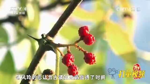 山水秀丽民族风情,生活在西庄古镇如同世外桃源般闲适