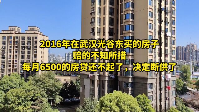 2016年在武汉光谷东买的房子,赔的不知所措,每月6500的房贷还不起了,决定断供了