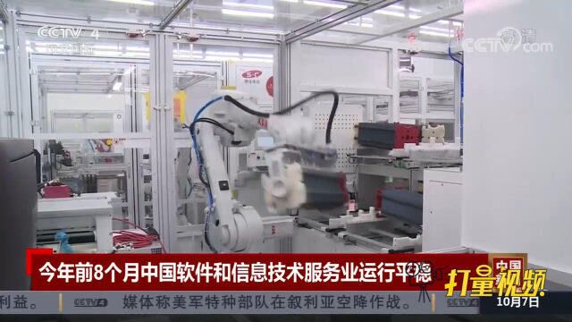 今年前8个月中国软件和信息技术服务业运行平稳