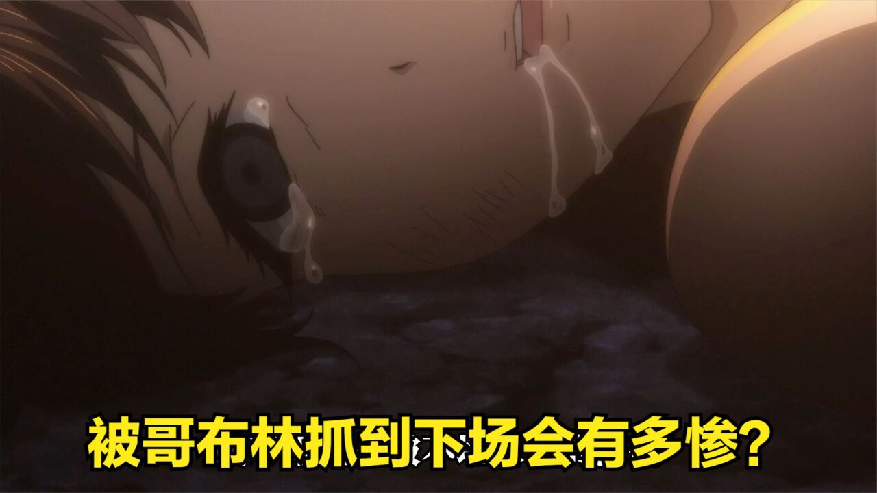 被哥布林抓到的下场会有多惨？_高清