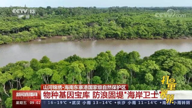 海南东寨港国家级自然保护区:物种基因宝库,防浪固堤\