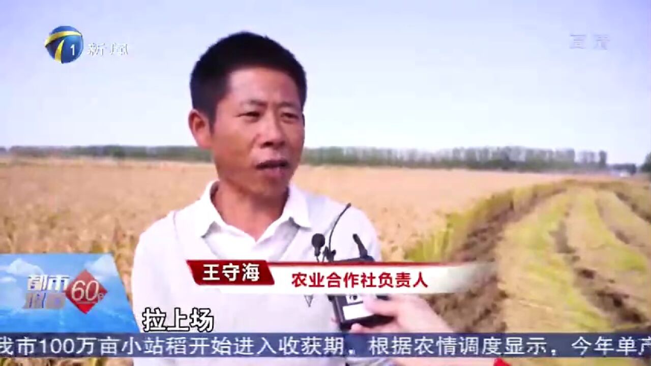二十大时光·宁河好声音丨在“都市报道60分”听王守海说说他的新时代~_高清1080P在线观看平台_腾讯视频