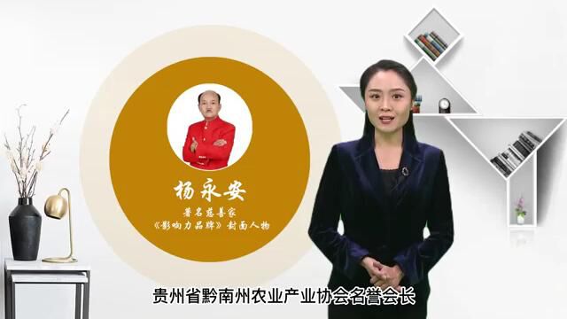 中国当代影响力人物——杨永安