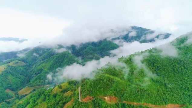 昌松海南五指山基地,冬无严寒,夏无酷暑,候鸟人群过冬避暑天堂.