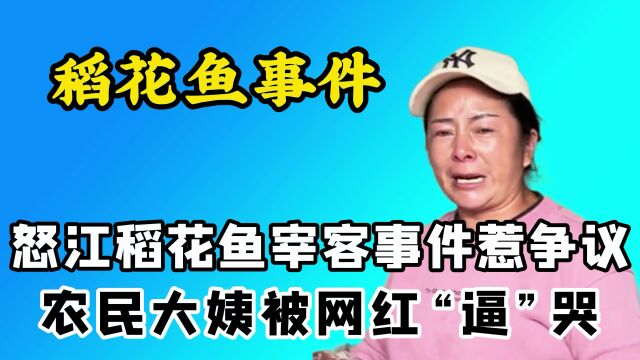 270元4条鱼贵吗?网红小确幸控诉怒江稻花鱼宰客,为何反被炮轰