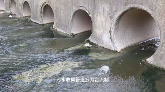 典型案例丨儋州市城区污水收集处理不到位,水环境问题突出