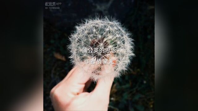 【兢山之声】蒲公英的思念/散文经典