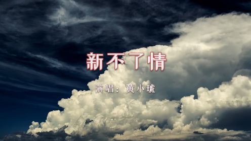 【音乐】黄小琥《新不了情》Live版：人生若只如初见，何事秋风悲画扇！