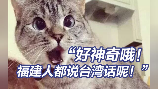 台湾游客惊呼“好神奇哦!福建人都说台湾话呢!”