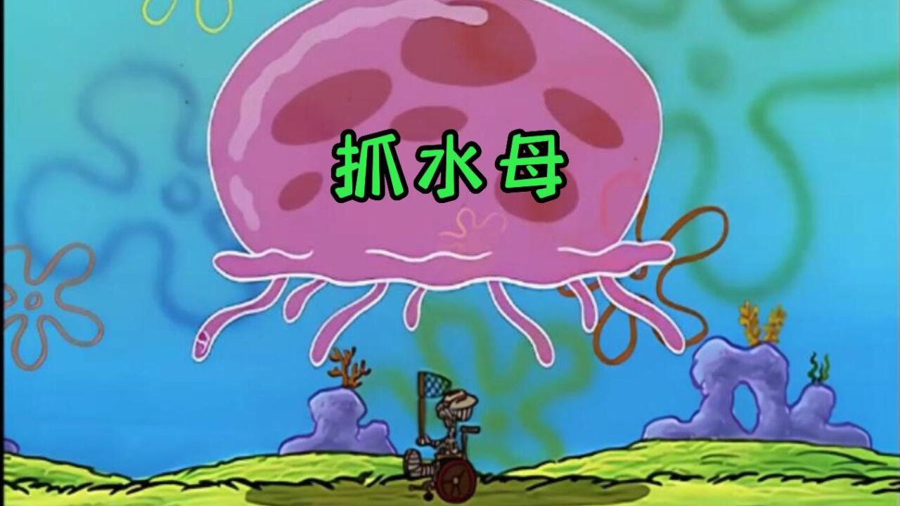 海绵宝宝：抓水母_高清1080P在线观看平台_腾讯视频