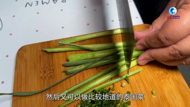 全球连线|在中国自种香料做美食的泰国人孙美兰