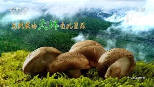 CCTV-7黑龙江天锦食用菌有限公司广告片10S