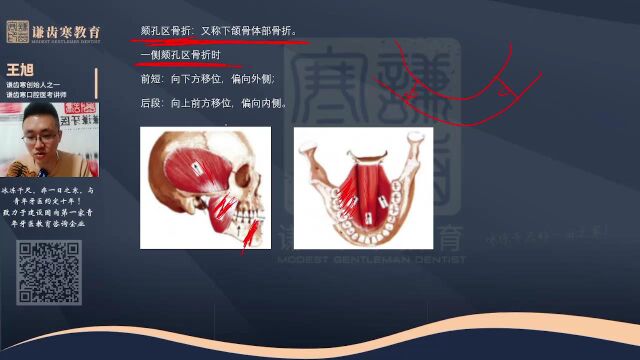 谦齿寒2023年口腔执业医师资格考试——口腔颌面外科学