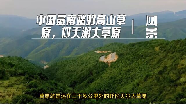 中国最南端的高山草原,仰天湖大草原