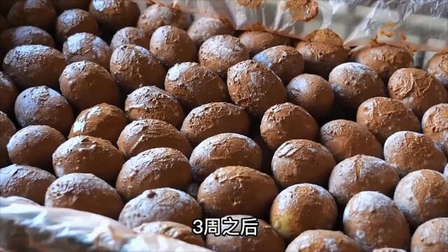 咸鸭蛋是如何制作的