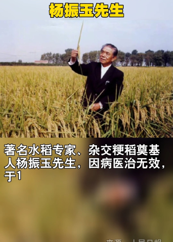 送别著名水稻专家杨振玉先生