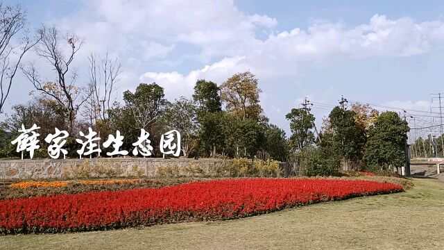 马鞍山滨江公园薛家洼生态园